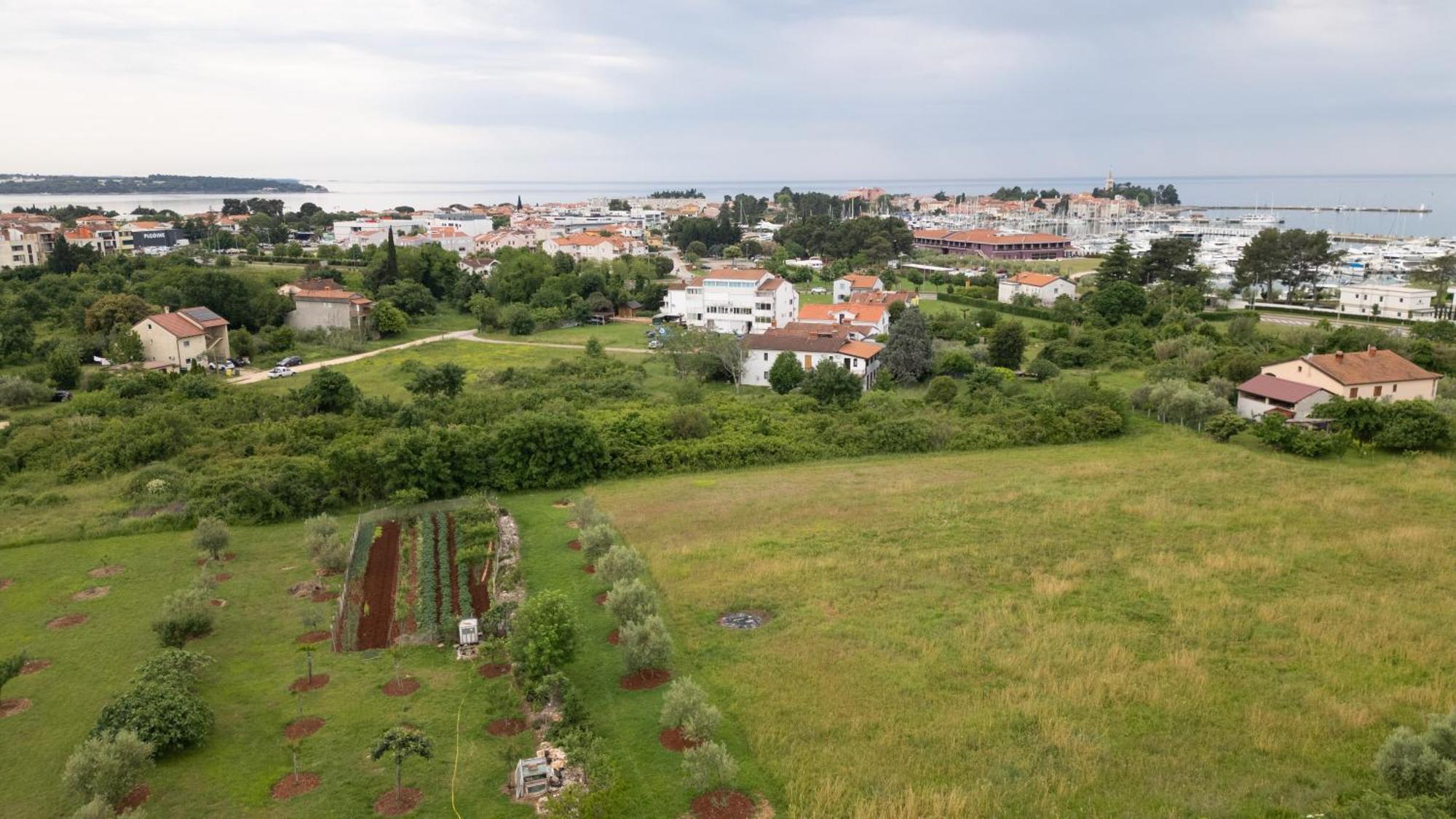 Apartments Mirella Novigrad Istria Exteriör bild